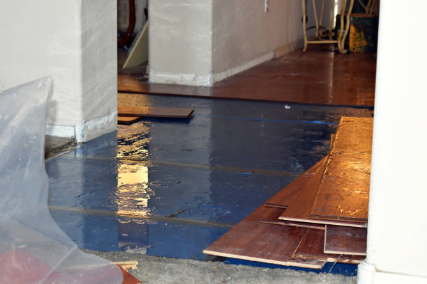 Professional Burst Pipe Cleanup technician working in East Bend, NC